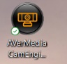 AVerMedia PW313 Webcam Support